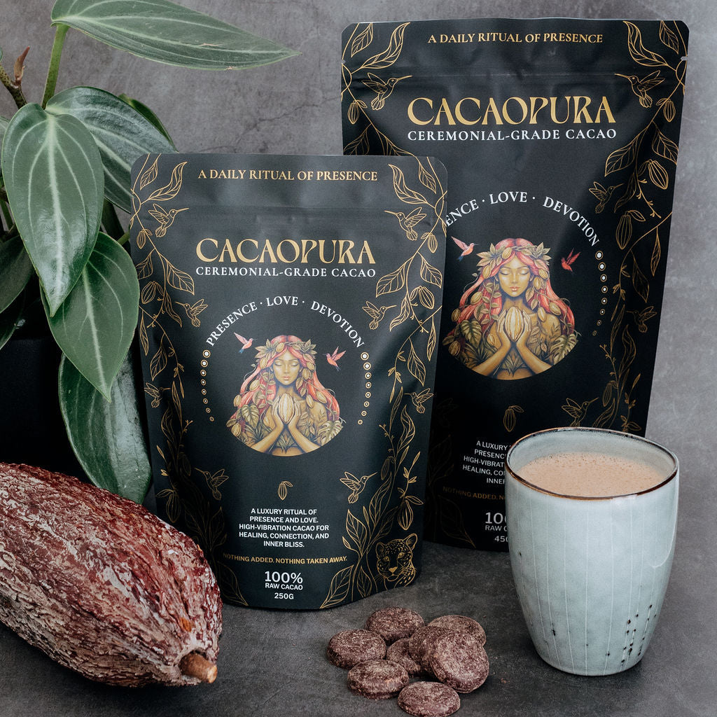 Cacao products including bags, a cup, and cacao beans on a gray surface with a plant.